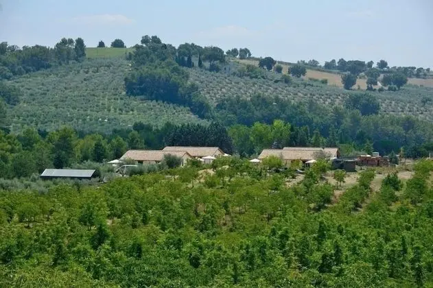 Apart Daire, Küçük Mutfak, Bahçeli