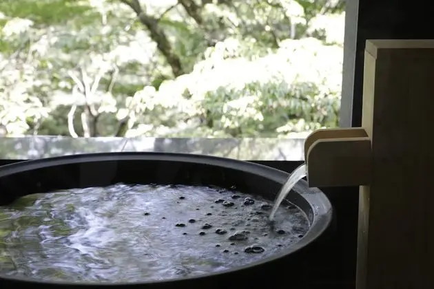 Basic İki Ayrı Yataklı Oda, 2 Çift Kişilik Yatak, Sigara İçilmez (Sukiyaki Dinner Included)