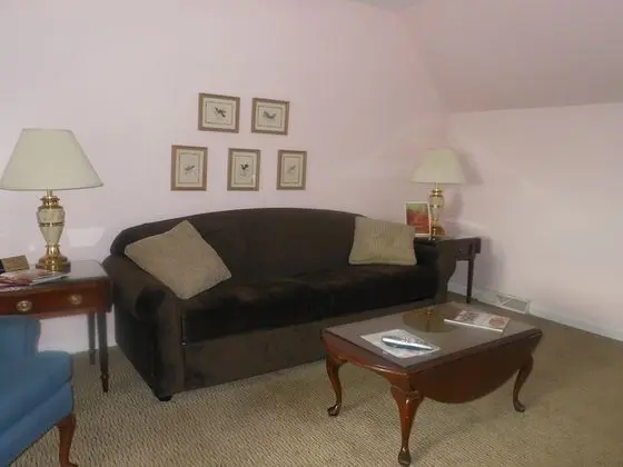 Standard apartment, 1 king bed with sofa bed (No staircase, porch steps-not wheelchair accessible)