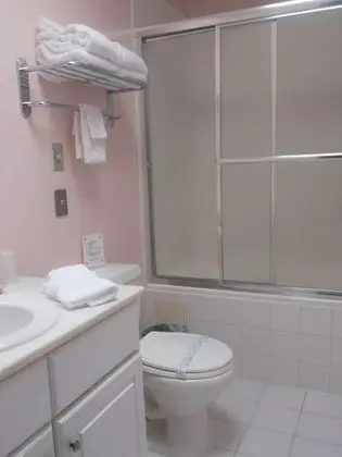 Standard apartment, 1 king bed with sofa bed (No staircase, porch steps-not wheelchair accessible)