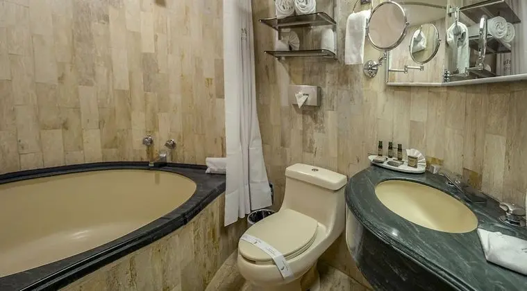 Süit, 1 En Büyük (King) Boy Yatak, Şehir Manzaralı (Master Suite)