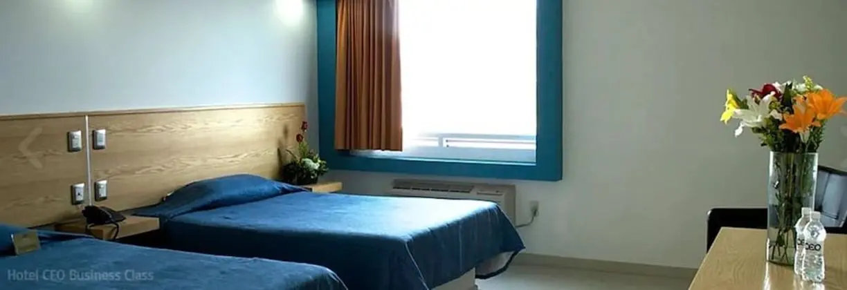 Executive Oda, 2 Çift Kişilik Yatak