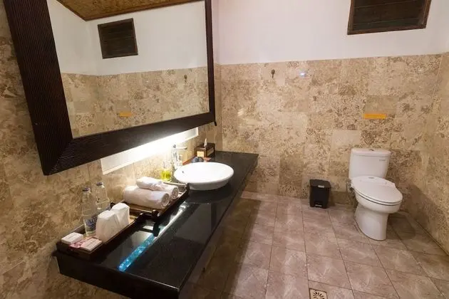 Deluxe Oda, 1 Yatak Odası