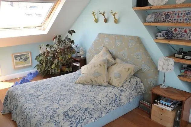 Deluxe Tek Büyük Yataklı Oda (Loft Room)