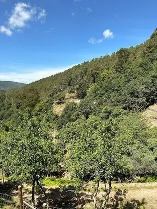 Basic Ev, 1 Yatak Odası (Forno)