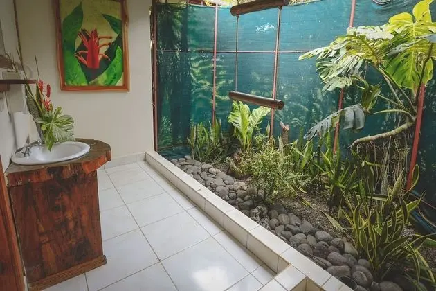 Deluxe Dört Kişilik Oda