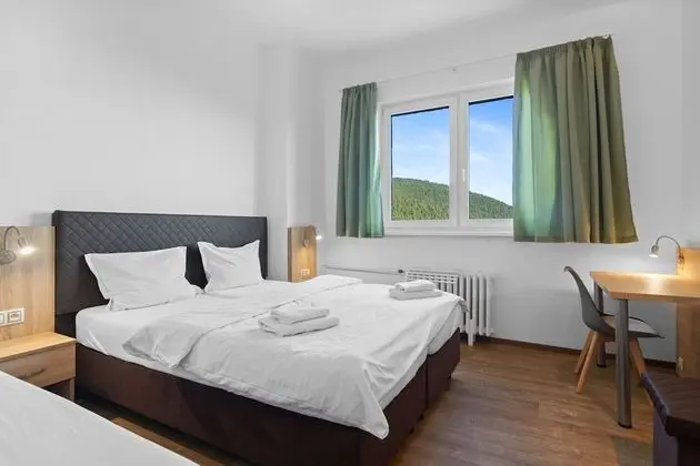 Standard Tek Büyük Yataklı Oda (with extra bed)