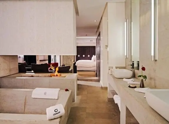 Çatı Katı (Loft)