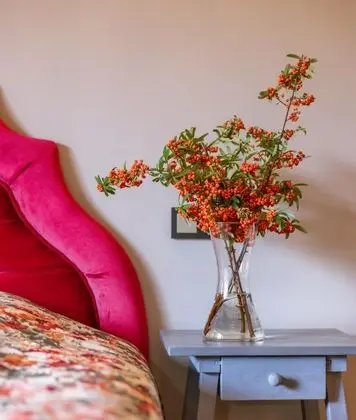 Deluxe Oda, Doğa Manzaralı