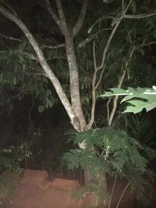 Family Tek Büyük veya İki Ayrı Yataklı Oda, Park Manzaralı