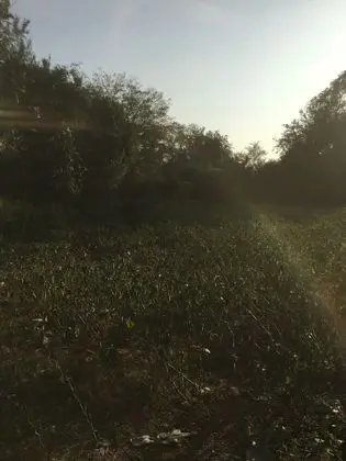 Family Tek Büyük veya İki Ayrı Yataklı Oda, Park Manzaralı