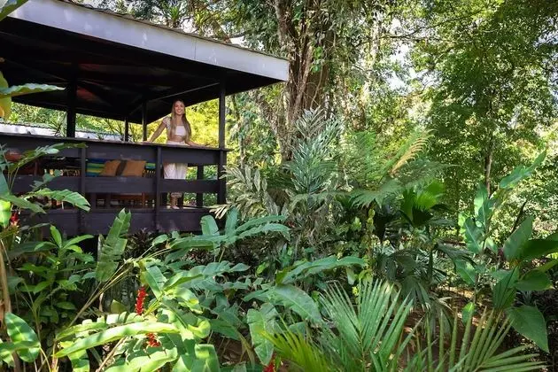 Rainforest Bungalow