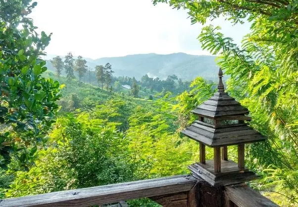 Superior Bungalov, 2 Yatak Odası