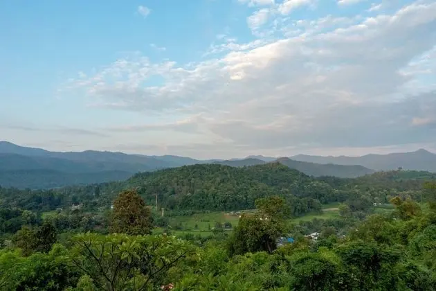 Superior Bungalov, 2 Yatak Odası