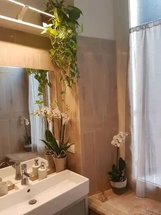 Deluxe Tek Büyük veya İki Ayrı Yataklı Oda (with hydromassage shower)