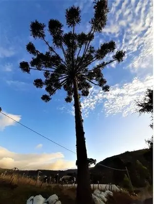 Luxury Dağ Evi, Jakuzi, Dağ Manzaralı