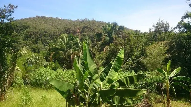 Family Cabin Chale Sossego
