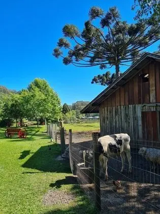 Dağ Evi, Küvet (Fioreze)