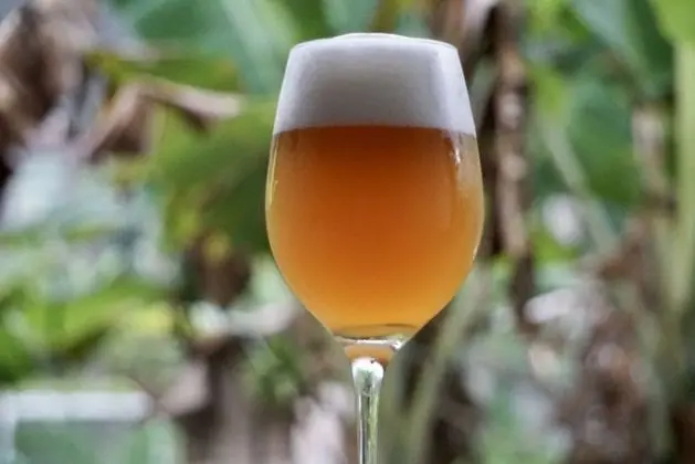Chalé Maritacas 3