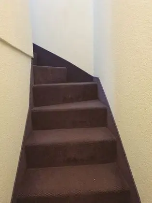 Ev