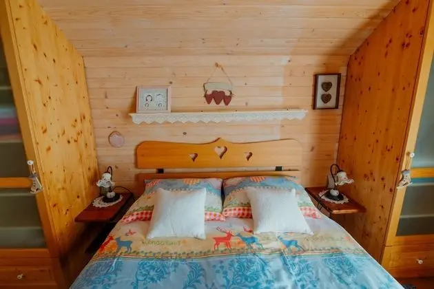 Design Dağ Evi (Alpinka 1)