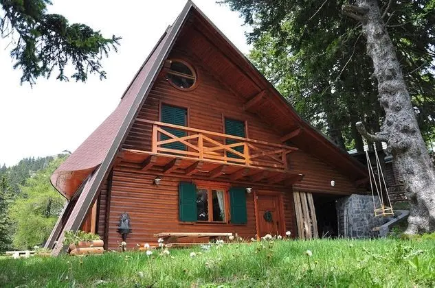 Design Dağ Evi (Alpinka 2)