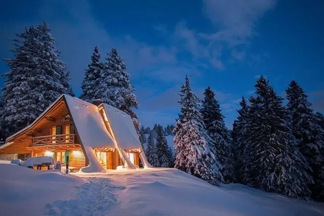 Design Dağ Evi (Alpinka 2)