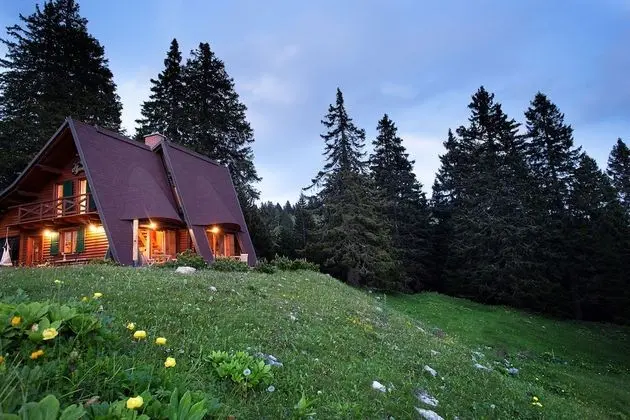 Design Dağ Evi (Alpinka 2)