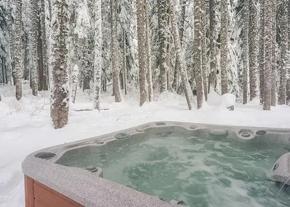 Kulübe, Birden Çok Yatak (Chalet am Berg)