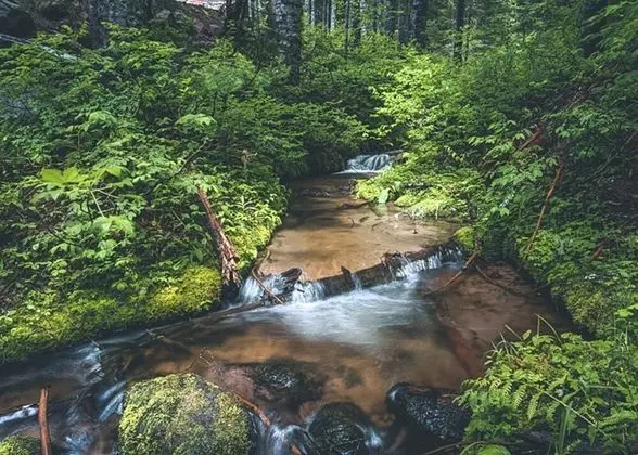 Kulübe, Birden Çok Yatak (Chalet am Berg)