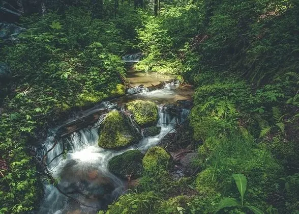 Kulübe, Birden Çok Yatak (Chalet am Berg)
