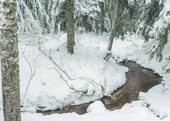 Kulübe, Birden Çok Yatak (Chalet am Berg)