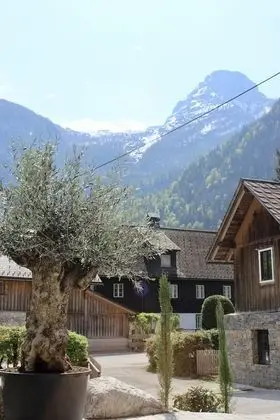 Traditional Dağ Evi, 1 Büyük (Queen) Boy Yatak, Sigara İçilmez, Dağ Manzaralı
