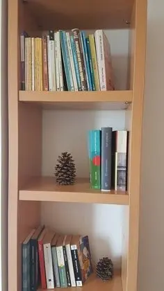 Tek Büyük Yataklı Oda, Ortak Banyo (Flor)