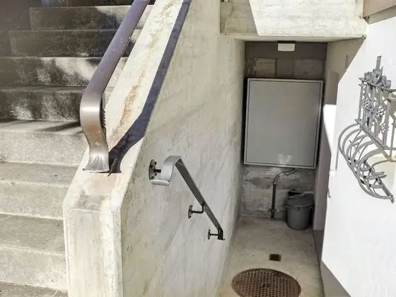 Ev