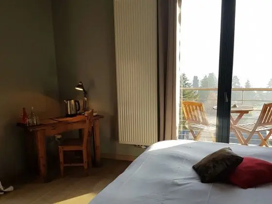 Panoramic Tek Büyük Yataklı Oda, Özel Banyo, Göl Manzaralı (Charme)