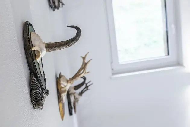 Comfort-Chalet, Bergblick (Der Bear)