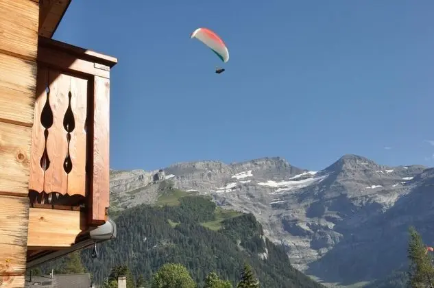 Dağ Evi, 4 Yatak Odası, Şömine