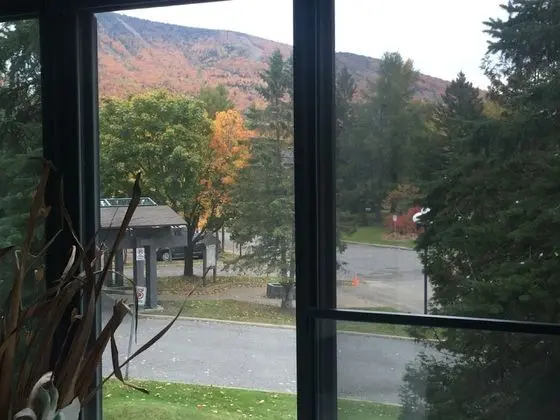 Panoramic Daire, 1 Yatak Odası, Dağ Manzaralı (Condo Mont Sainte-Anne, 2017)