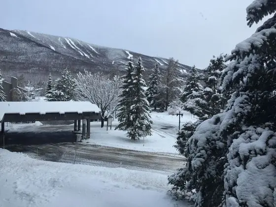 Panoramic Daire, 1 Yatak Odası, Dağ Manzaralı (Condo Mont Sainte-Anne, 2017)