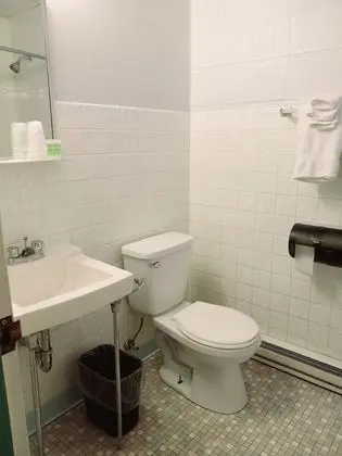 Standard Tek Büyük Yataklı Oda, 2 Çift Kişilik Yatak