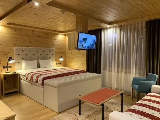 Deluxe Stüdyo Süit, Sigara İçilmez, Buzdolabı ve Mikrodalga