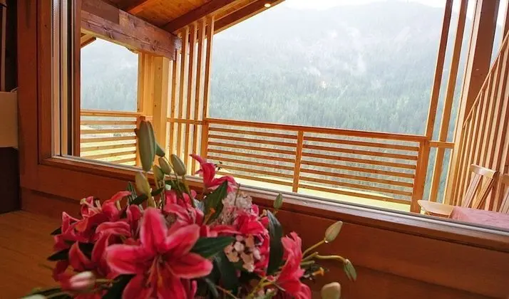 Panoramic Tek Büyük Yataklı Oda, Bahçe Manzaralı