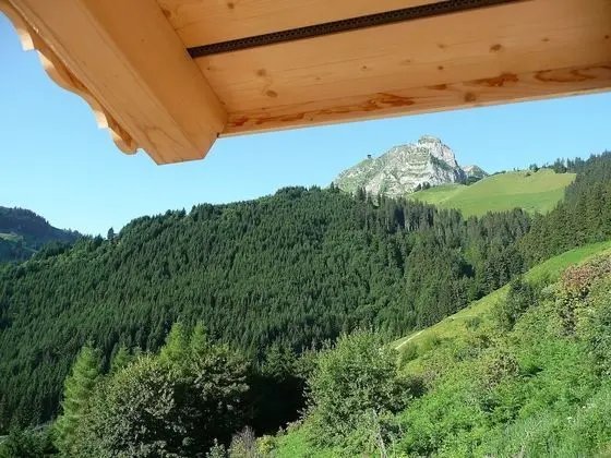 Ev