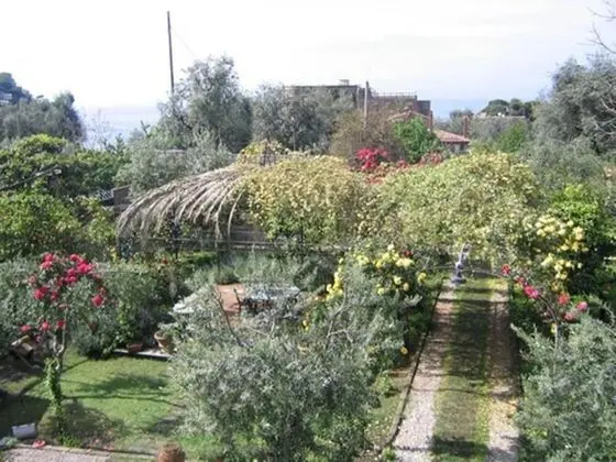 Dağ Evi