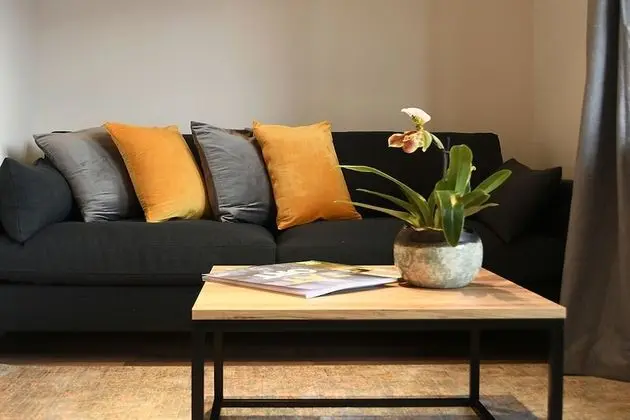 Deluxe Stüdyo Süit, 1 En Büyük (King) Boy Yatak ve Çekyat, Sigara İçilmez, Dağ Manzaralı