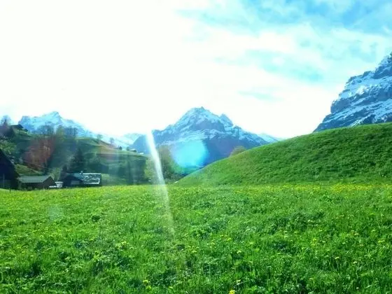Ev