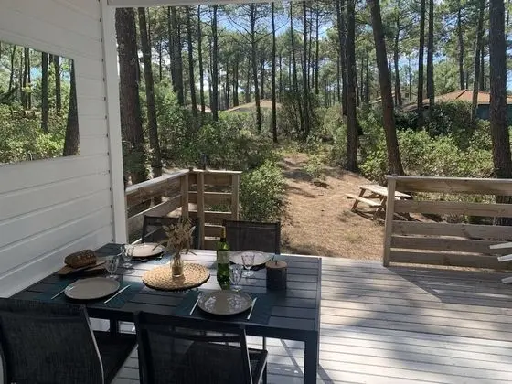 Stüdyo, Banyolu/Duşlu (Studio)