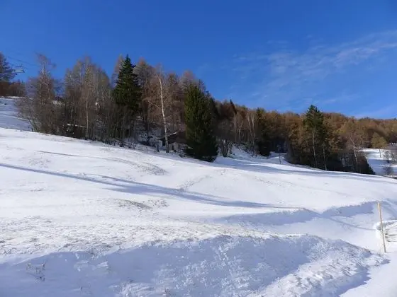 Ev