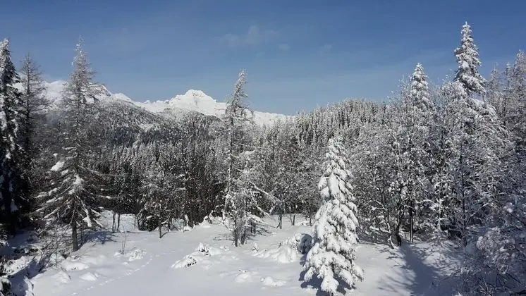 Dağ Evi, 3 Yatak Odası, Buzdolabı